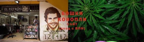прущие крисы Надым