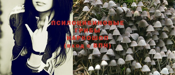 шишки Навашино