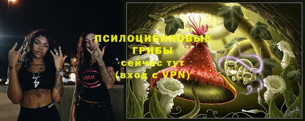 молекула духа Наволоки