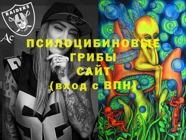 молекула духа Наволоки