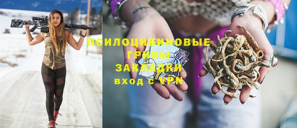 прущие крисы Надым