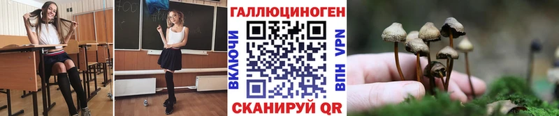 Псилоцибиновые грибы GOLDEN TEACHER  купить наркотик  кракен зеркало  Отрадный 